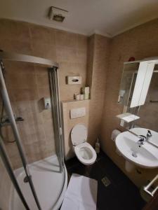 a bathroom with a shower and a toilet and a sink at Apartment 311 Aparthotel Vučko Jahorina in Jahorina