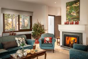 a living room with two blue chairs and a fireplace at Platres Forty Pine Trees Cottage in Platres