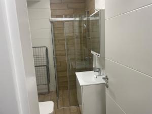 Koupelna v ubytování Apartment Barcelona Zemun Belgrade
