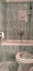 a bathroom with a toilet and a bath tub at Apartman Luka in Kupres