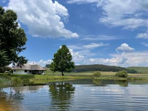 a house and a tree next to a lake at Dieu Donne Cottage in Underberg