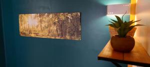 a potted plant sitting on a table in a room at Le Valserine - Camping éco responsable in Chézery-Forens