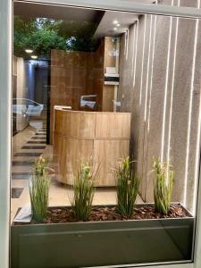 um lobby com três vasos de plantas na frente de um balcão em Luxor Premium Suites em Tessalônica