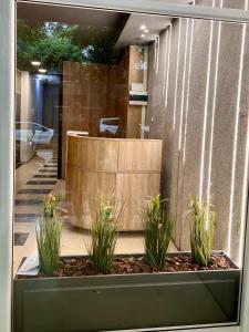 a lobby with three potted plants in front of a counter at Luxor Premium Suites in Thessaloniki