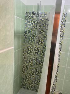 een douche in de badkamer met mozaïektegels bij Traditional Romanian Panoramic in Sibiu