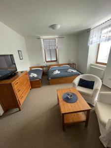 a living room with a tv and a bed and a table at Penzion Adler in Dobruška