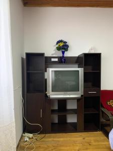 TV a/nebo společenská místnost v ubytování Vila Lane