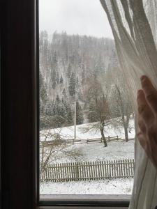 Vila Lane v zimě