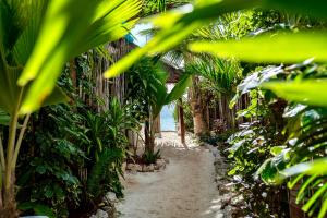 un sentiero sporco attraverso una giungla con palme di Pili Pili Sunrise a Jambiani