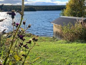 un piccolo edificio accanto a un corpo d'acqua di Fantastisch familiehuis met sauna aan het water a Föllinge