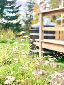 a field of grass with a bench and flowers at Fantastisch familiehuis met sauna aan het water in Föllinge