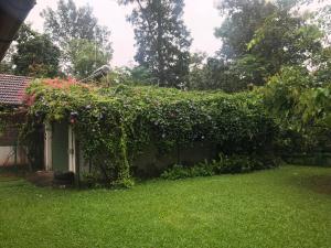 Taman di luar Kuruvinakunnel Tharavadu