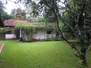 Taman di luar Kuruvinakunnel Tharavadu
