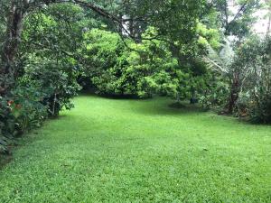 Taman di luar Kuruvinakunnel Tharavadu