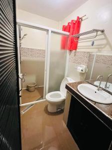 e bagno con servizi igienici, lavandino e doccia. di Red Palm Inn studio room with Netflix a Baybay