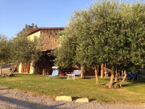 deux chaises assises dans l'herbe à côté d'une maison dans l'établissement Podere Poggio Benedetto, à Saturnia