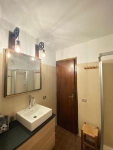 La salle de bains est pourvue d'un lavabo, d'un miroir et d'une douche. dans l'établissement Appartamento a 2,5 km da Alleghe, à Alleghe
