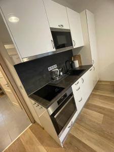 Kuchyň nebo kuchyňský kout v ubytování Rocky Apartment