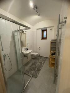 y baño con ducha, aseo y lavamanos. en Rocky Apartment en Rokytnice nad Jizerou
