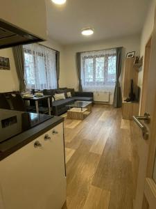 Kuchyň nebo kuchyňský kout v ubytování Rocky Apartment