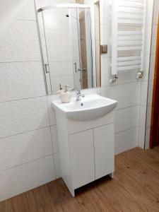 ein Badezimmer mit einem weißen Waschbecken und einem Spiegel in der Unterkunft Borówka- u podnóża gór, nad jeziorem Czorsztyńskim in Dębno
