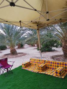 アル・ウラーにあるAmazham Caravanの椅子とヤシの木の下のソファ