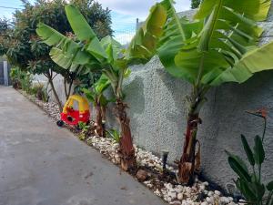 een speelgoedauto staat geparkeerd naast enkele bananenbomen bij GIANNIS in Galatás