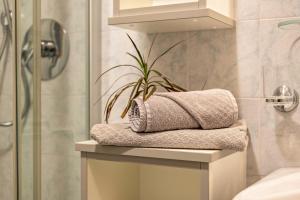 A bathroom at Niederkoflhof Wollbach