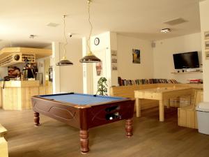 3BE Backpackers Bed & Breakfast Eindhoven biliárdasztala