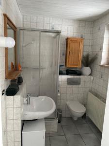 a bathroom with a sink and a shower and a toilet at Ferienwohnung Shakira in Penig