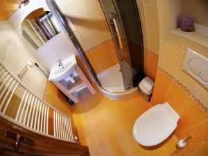 a bathroom with a toilet and a sink and a shower at Villa Raj in Hrabušice