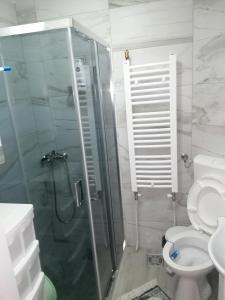 Un baño con ducha de cristal y un inodoro. en SIMIĆ planinska kuća, en Divčibare