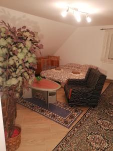 Zona de estar de SIMIĆ planinska kuća