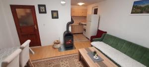 ein Wohnzimmer mit einer grünen Couch und einem Kamin in der Unterkunft Vikendica Jovanovic in Foča + 37 Fotos