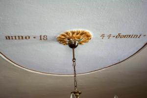 a lamp with a flower on top of a ceiling at Haus kremsbrücke in Kremsbrücke