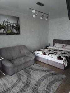 a bedroom with a bed and a couch at Studio COMFORT on Golovna street in Chernivtsi