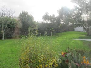 a yard with green grass and flowers in the yard at Azores Youth Hostels - Sao Miguel in Ponta Delgada