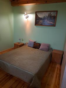 a bedroom with a bed and a painting on the wall at Trakai Village apartments 