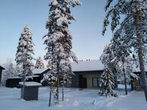 a house in the snow with snow covered trees at Syötteenwalo in Syöte