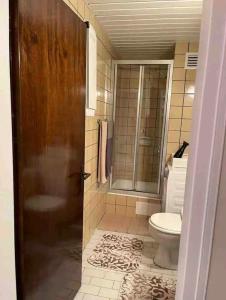 La salle de bains est pourvue de toilettes et d'une douche en verre. dans l'établissement Bakirkoy merkez, à Istanbul