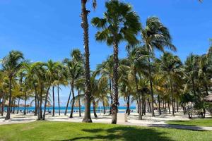 un grupo de palmeras en una playa con el océano en Beautiful house in Sabana Basora Aruba!, en Savaneta