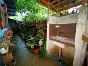 a garden with a sink and a bunch of plants at LADY GHAGHA ROOM RENTALs in San Vicente