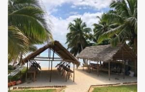 een strand met twee hutten en palmbomen bij Hotel et Restaurant Chez Tasmine 
