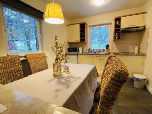 cocina con mesa y sillas en una habitación en Apartment Amy en Podčetrtek