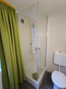 a bathroom with a shower with a glass door at Room in BB - Pension Forelle - double room in Forbach