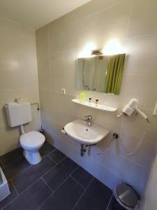 uma casa de banho com um WC, um lavatório e um espelho. em Room in BB - Pension Forelle - double room em Forbach