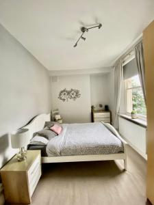 ein Schlafzimmer mit einem großen Bett und einem Fenster in der Unterkunft London Oval Apartment in London