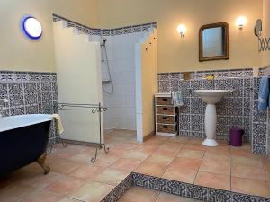 ein Badezimmer mit einer Dusche, einem Waschbecken und einer Badewanne in der Unterkunft Große Ferienwohnung am Canal du MIDI mit Dachterrrasse in Homps