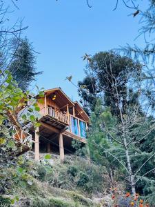 una casa en la cima de una colina con árboles en LITTLE WOOD TREEHOUSE, en Jibhi