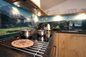 a kitchen with two pots sitting on a stove at Alm Appartements ZellamSee in Zell am See